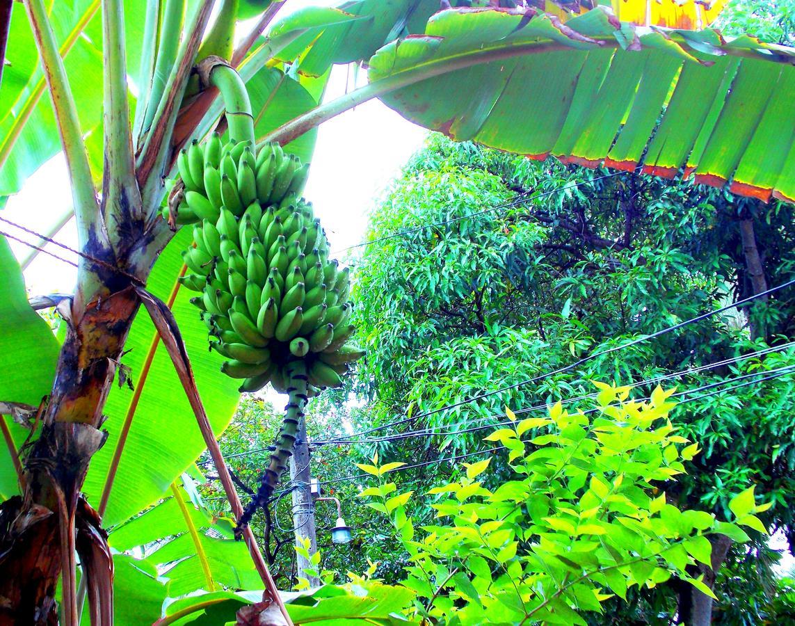 Chill Space Negombo Exteriér fotografie