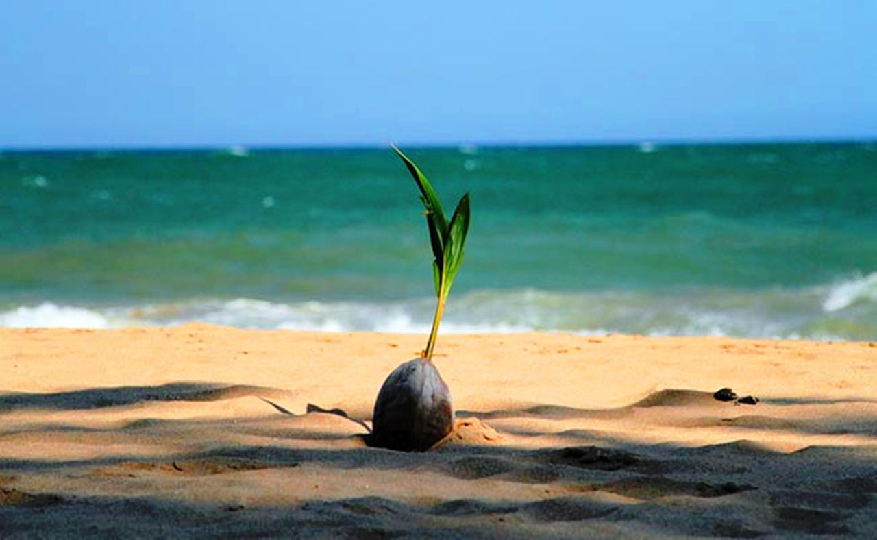 Chill Space Negombo Exteriér fotografie